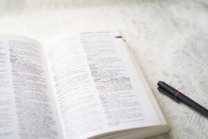 英語を生かした仕事の紹介