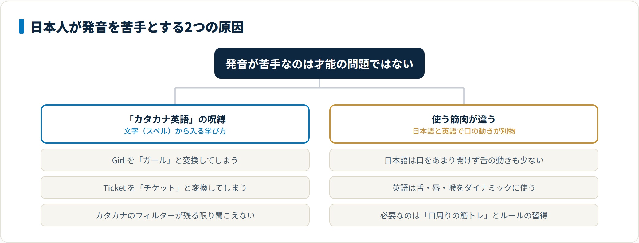 日本人が英語の発音を苦手とする原因はカタカナ変換の癖と使う筋肉の違いの2つ