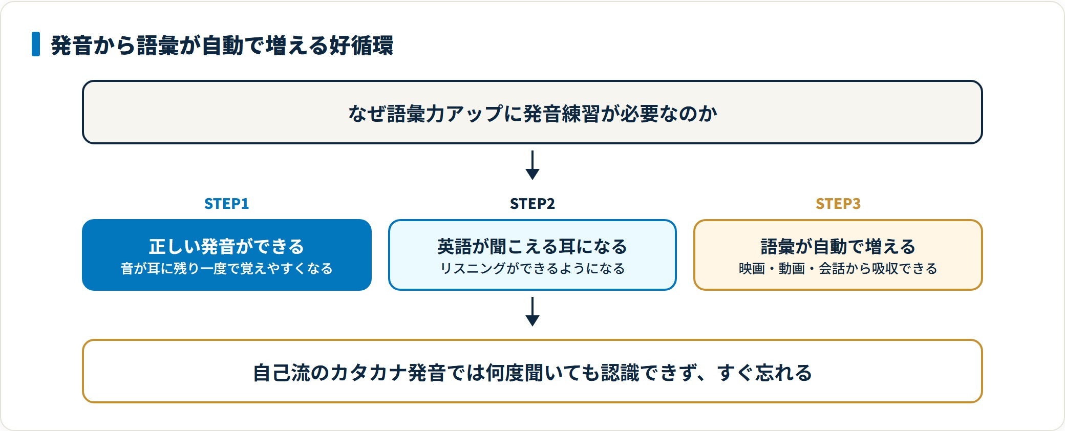 正しい発音を身につけると英語が聞こえるようになり、映画や会話から自動的に語彙が増える好循環に入る