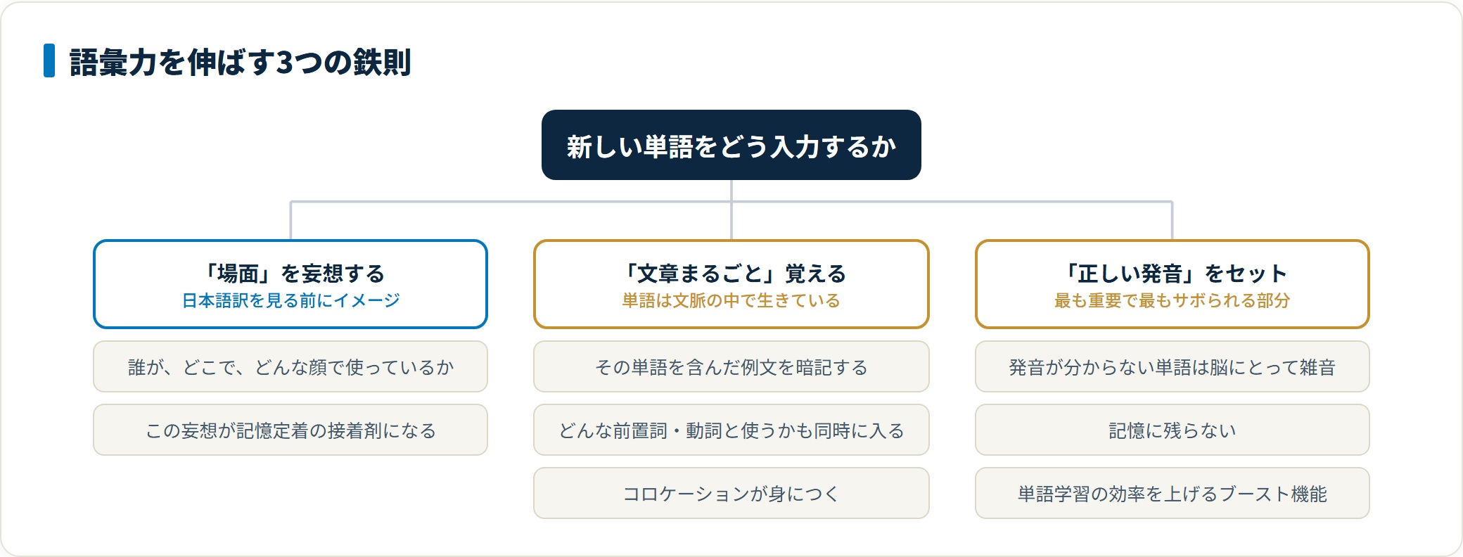 語彙力を増やすには場面を想像し、例文まるごと覚え、正しい発音をセットにする3つの鉄則を守る
