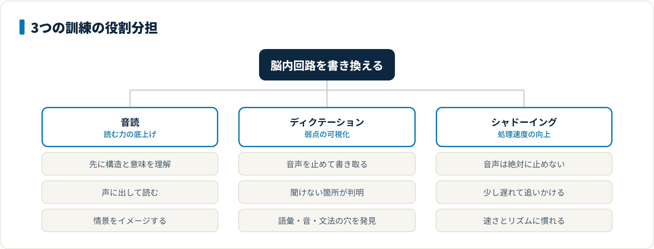音読で読む力を底上げし、ディクテーションで聞き取れない弱点を可視化し、シャドーイングで処理速度を上げるという3つのトレーニングの役割分担を示した図。